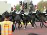  chevaux et cavaliers, Buckingham Palace
